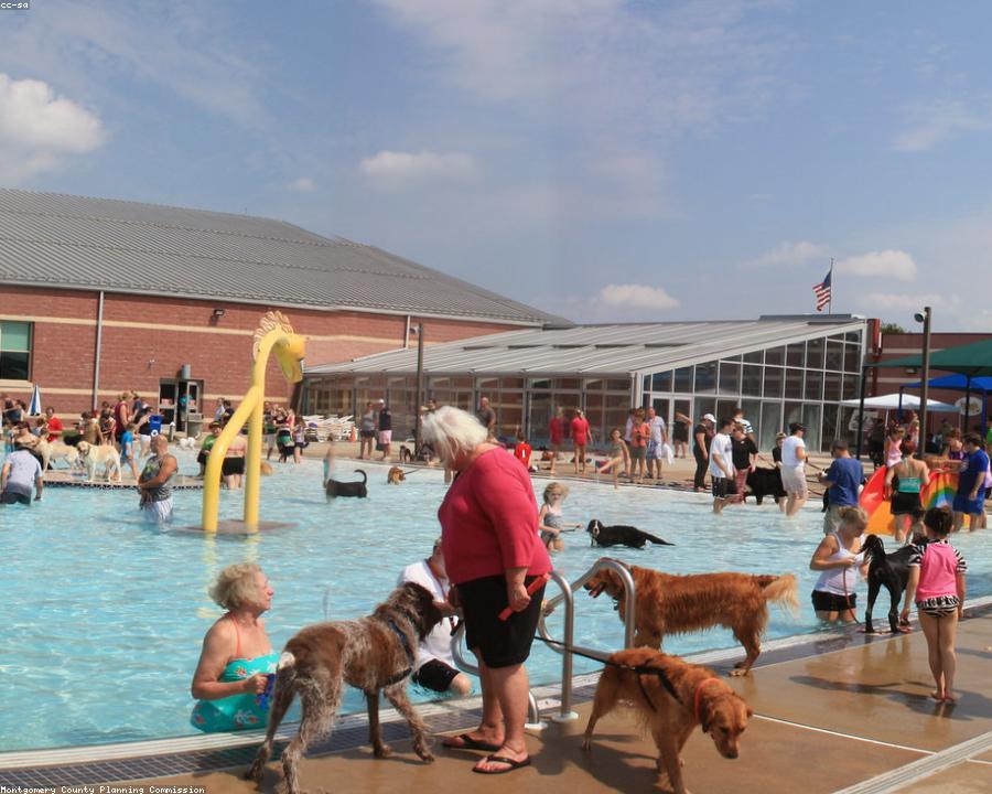 Piscina de uma escola de natação